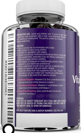 elderberry-with-sambucus-black-elderberry-vitamin-c-zinc-big-1