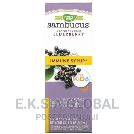 sambucus-for-kidsstandardized-elderberry-immune-syrup8oz-big-0