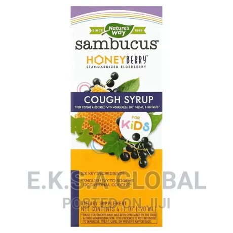 sambucus-for-kids-honeyberry-cough-syrup-4-fl-oz-120-ml-big-0