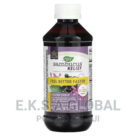 sambucus-relief-cough-syrup-for-kids-ages-1-8-fl-oz-24-big-0