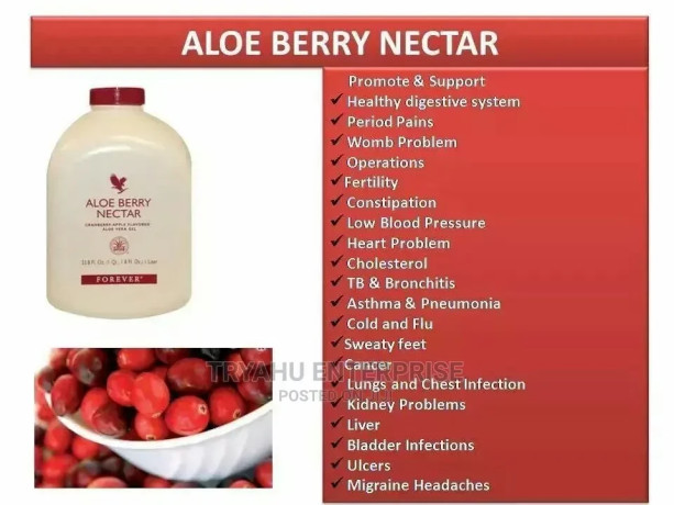 potent-forever-aloe-berry-nectar-for-men-and-women-big-0