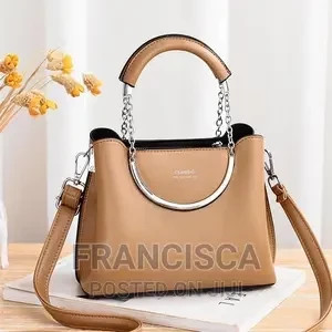 ladies-handbag-big-1