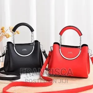 ladies-handbag-big-2