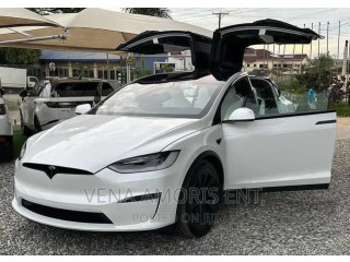 New Tesla Model X 2023 White