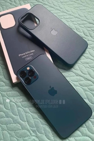 apple-iphone-12-pro-max-256-gb-blue-big-2