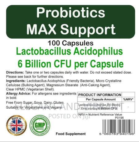 probiotics-for-gut-health-support-max-100-cap-6-billion-cfu-big-3