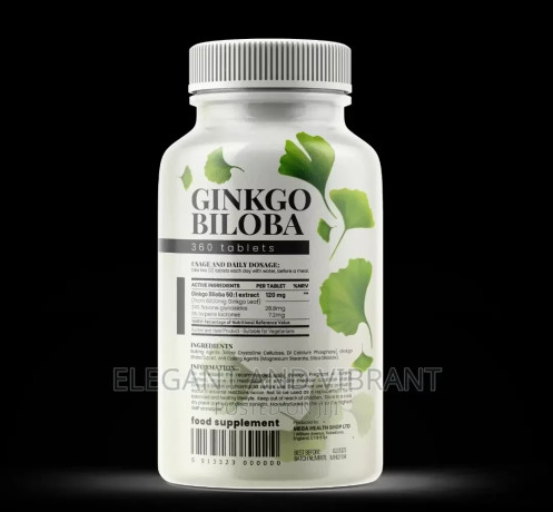 ginko-biloba-ginkgo-6000mgtab-memoryfocusblood-circulation-big-0
