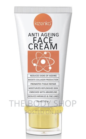 anti-aging-face-cream-prevents-wrinkles-and-fine-lines-big-1