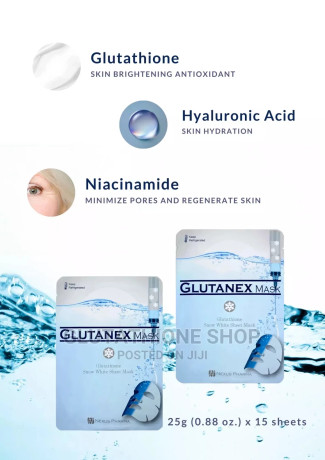 glutanex-face-mask-15-packs-big-0