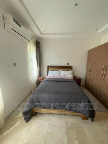 furnished-5bdrm-duplex-in-cantonment-cantonments-for-rent-big-1