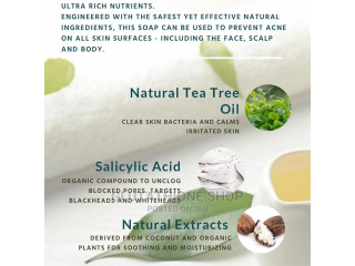 Accunex Soap. All-In-1 Tea Tree Acne Treatment Soap