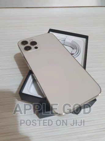 apple-iphone-12-pro-max-128-gb-gold-big-1