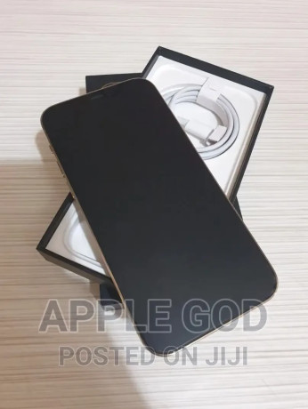 apple-iphone-12-pro-max-128-gb-gold-big-2