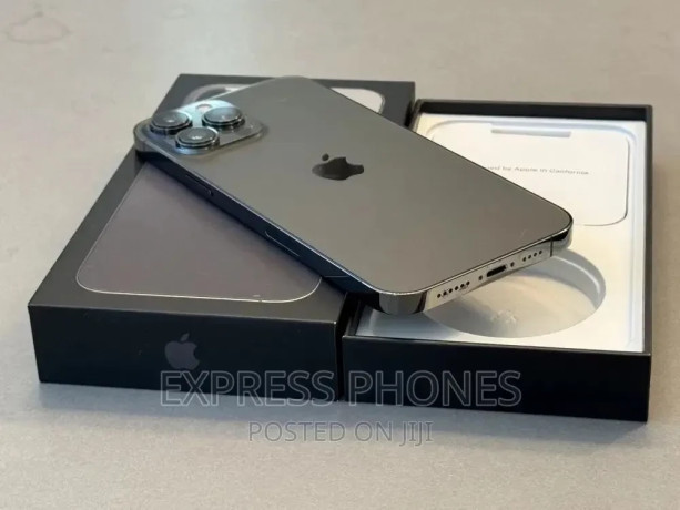 apple-iphone-13-pro-max-256-gb-gray-big-1