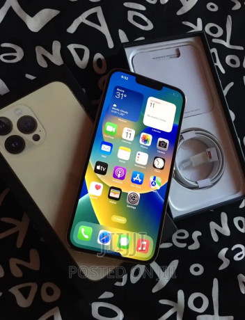 apple-iphone-13-pro-max-256-gb-gold-big-2