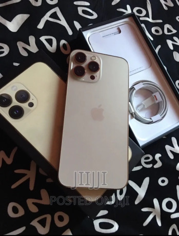 apple-iphone-13-pro-max-256-gb-gold-big-1