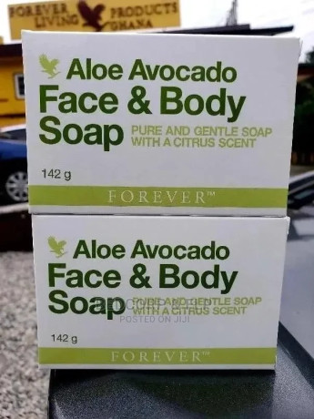 aloe-and-avocado-soap-with-citrus-accent-big-0