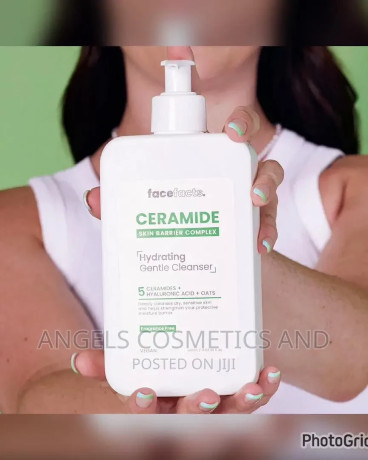 face-facts-ceramide-gentle-hydrating-cleanser-big-0