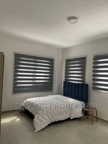 furnished-2bdrm-apartment-in-cantonments-for-rent-big-2