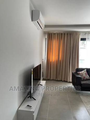 furnished-2bdrm-apartment-in-cantonments-for-rent-big-1