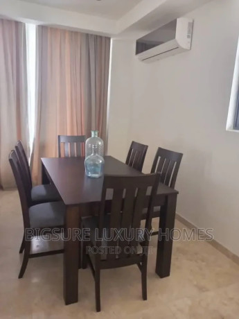 furnished-2bdrm-apartment-in-cantonments-for-rent-big-4