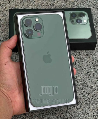 apple-iphone-13-pro-max-256-gb-green-big-1