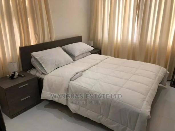 furnished-1bdrm-apartment-in-cantonments-for-rent-big-1