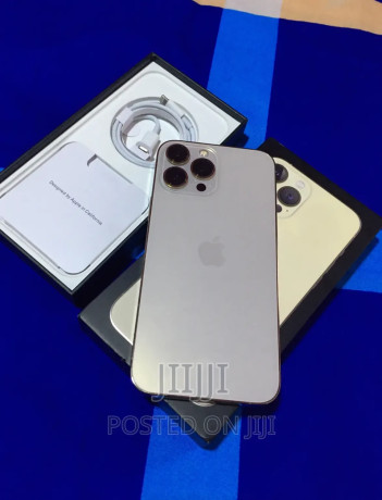 apple-iphone-13-pro-max-256-gb-gold-big-2