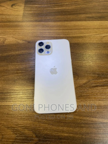 new-apple-iphone-12-pro-max-256-gb-white-big-1