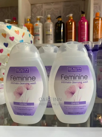 feminine-intimate-cleansing-wash-big-0