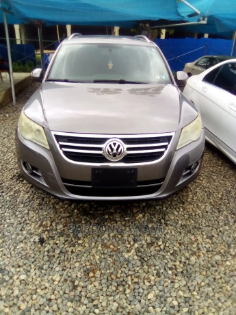 volkswagen-tiguan-2010-gray-big-0