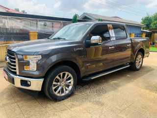 Ford F-150 2017 Gray